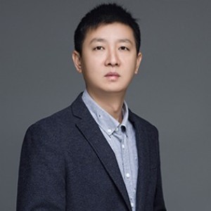 阮维技术咨询服务 专业赋能，助力企业数字化转型